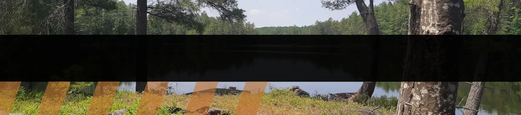 Landscape shot overlooking a lake in Algonquin Park